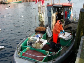 Fischverkauf vom Kutter
